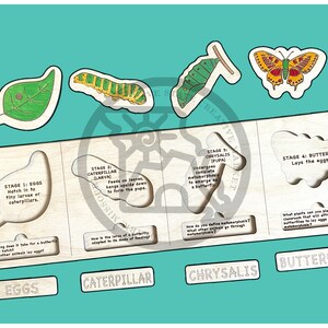 Butterfly Life Cycle Puzzle (Digital Cut File)