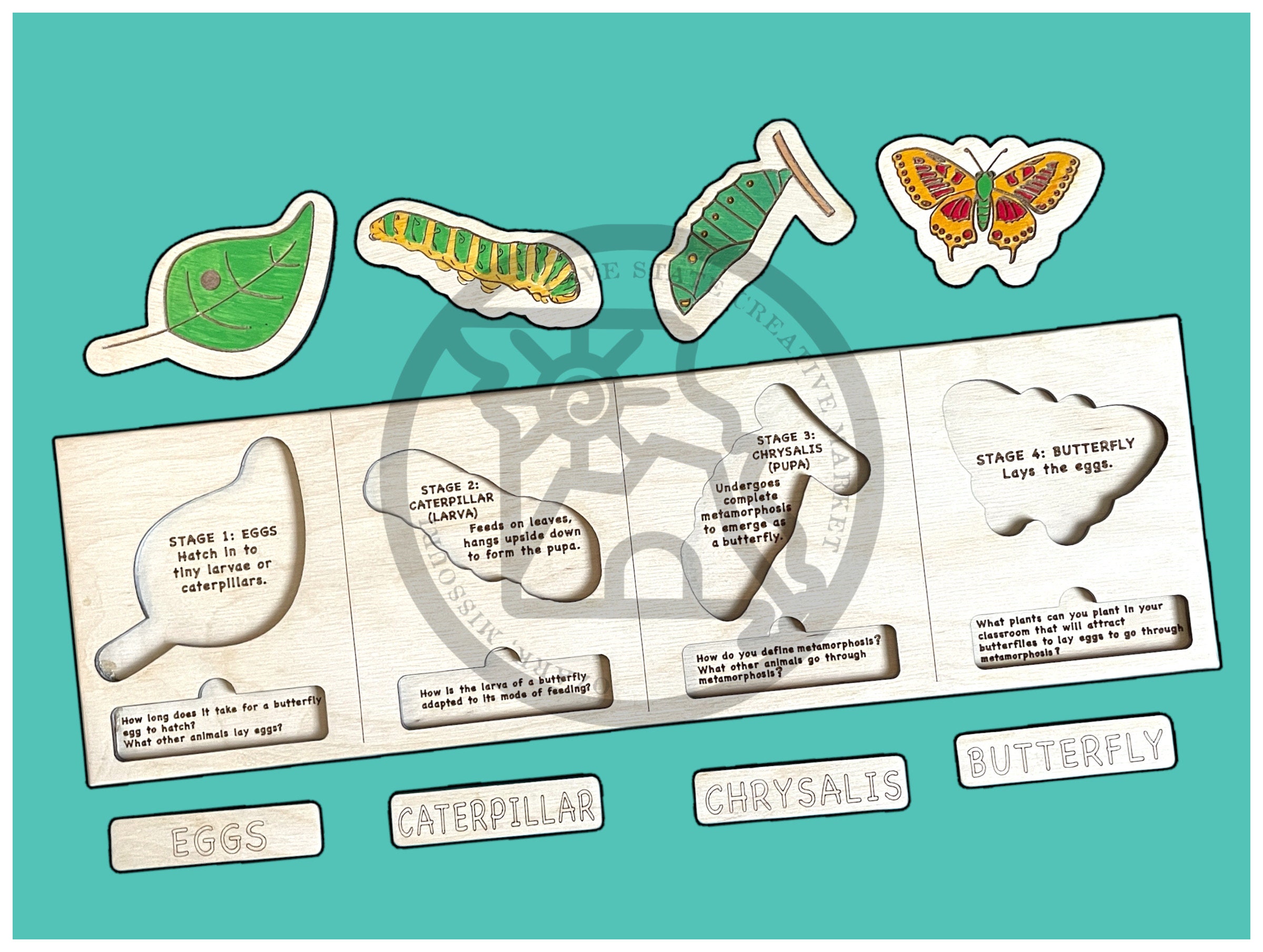 Butterfly Life Cycle Puzzle digital Cut File - Etsy Butterfly Life Cycle Puzzle digital Cut File - Etsy