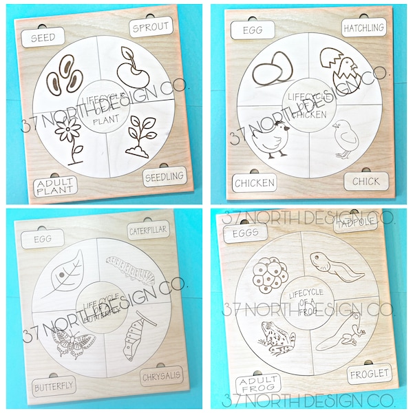 Montessori Style Lifecycle Puzzles (Plant, Frog, Butterfly, Chicken). DIGITAL CUT FILE