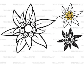 Edelweiss Blume. Dateien für Cricut schneiden. Clip Art Silhouetten (eps, svg, pdf, png, dxf, jpeg).