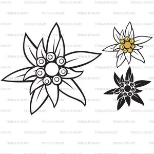 Edelweiss flower. Cut files for Cricut. Clip Art silhouettes (eps, svg, pdf, png, dxf, jpeg).