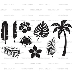 Hojas, flores y plantas tropicales. Cortar archivos para Cricut. Silueta de imágenes prediseñadas (eps, svg, pdf, png, dxf, jpeg).