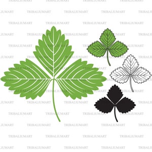 Feuille de fraise. Couper des fichiers pour Cricut. Silhouette Clip Art (eps, svg, pdf, png, dxf, jpeg).
