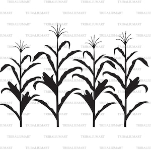 Corn stalk. Cut files for Cricut. Clip Art silhouettes (eps, svg, pdf, png, dxf, jpeg).