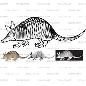 Gürteltier. Ausgeschnittene Dateien für Cricut. Clip Art Silhouette (eps, svg, pdf, png, dxf, jpeg).