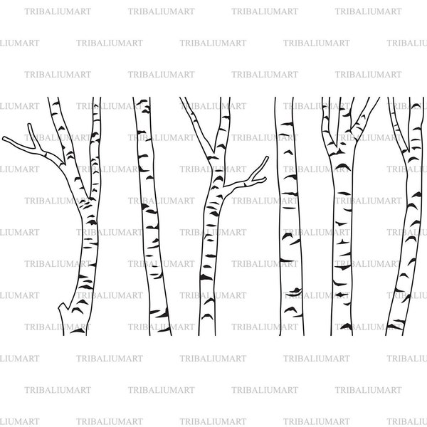 Birch tree forest. Cut files for Cricut. Clip Art silhouettes (eps, svg, pdf, png, dxf, jpeg).