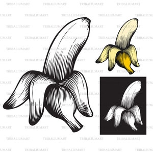 Geöffnete Banane-Vintage gravierte Illustration (handgezogener Stil). Dateien für Cricut schneiden. Clip Art (eps, svg, pdf, png, dxf, jpeg).