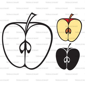 Half apple. Cut files for Cricut. Clip Art silhouette (eps, svg, pdf, png, dxf, jpeg).