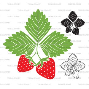 Fraise à feuille. Couper des fichiers pour Cricut. Silhouette Clip Art (eps, svg, pdf, png, dxf, jpeg).