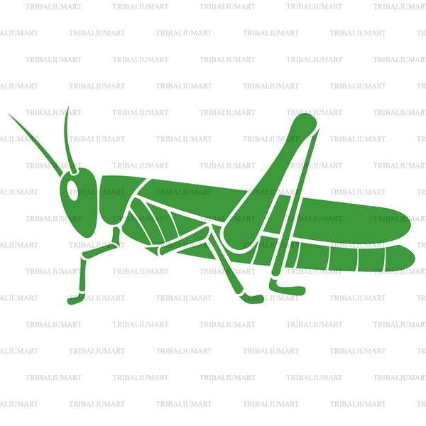 Grasshopper (locust). Cut files for Cricut. Clip Art silhouette (eps, svg, pdf, png, dxf, jpeg).
