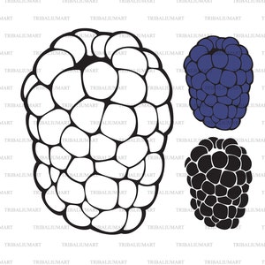 Mûre. Fichiers coupés pour Cricut. Silhouette Clip Art (eps, svg, pdf, png, dxf, jpeg).