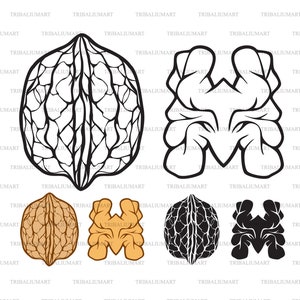 May include: A black and white illustration of a walnut, showing the shell and the nut inside. The illustration is repeated in three different variations: a full shell, a half shell, and a half shell with the nut inside. The nut is also shown in a brown and orange color variation.