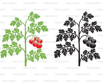 Tomato plant. Cut files for Cricut. Clip Art silhouettes (eps, svg, pdf, png, dxf, jpeg).