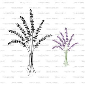 Fiore di lavanda. Taglia i file per Cricut. Clip Art silhouette (eps, svg, pdf, png, dxf, jpeg).