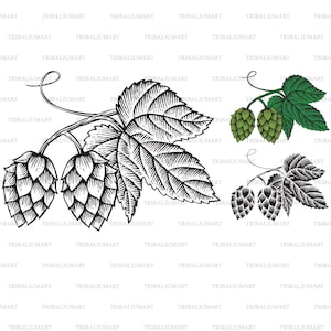 Hops (beer design). Cut files for Cricut. Clip Art silhouette (eps, svg, pdf, png, dxf, jpeg).