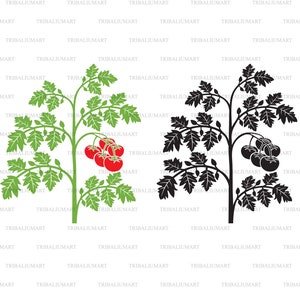 Tomatenplant. Cut bestanden voor de Cricut. Clip Art silhouetten (EPS, SVG, PDF, PNG, DXF, JPEG).