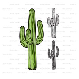 Cactus Pot Thorn Color Colour Sketch PNG & SVG Design For T-Shirts