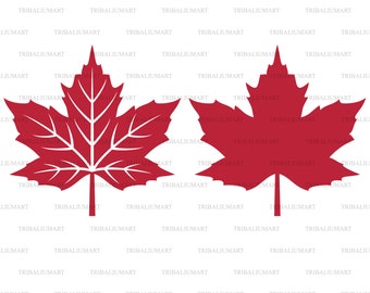 Download Maple Leaf Svg Etsy