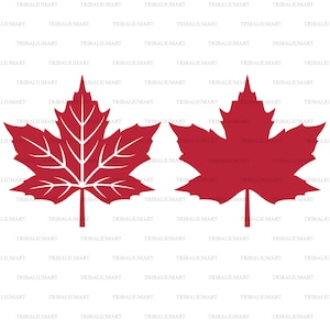 ahornblatt. Dateien für Cricut ausschneiden. ClipArt Silhouetten (eps, svg, pdf, png, dxf, jpg).