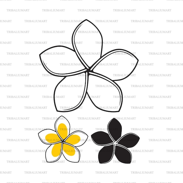 Frangipani flower. Cut files for Cricut. Clip Art silhouette (eps, svg, pdf, png, dxf, jpeg).