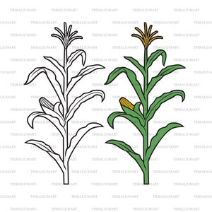 Gambo di mais. Tagliare i file per Cricut. Sagome ClipArt (eps, svg, pdf, png, dxf, jpeg).