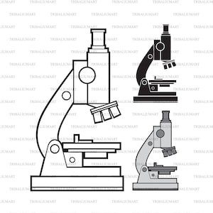 May include: A black and white line drawing of a microscope with a gray and black microscope next to it. Both microscopes have a stage, a body tube, and a lens.
