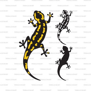 Salamandre Art vectoriel, icônes et graphiques à télécharger gratuitement