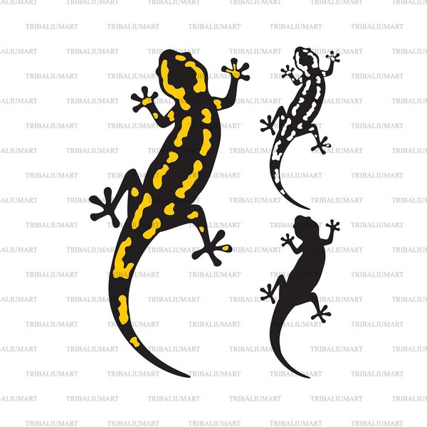 Salamander. Ausgeschnittene Dateien für Cricut. Clip Art Silhouette (eps, svg, pdf, png, dxf, jpeg).