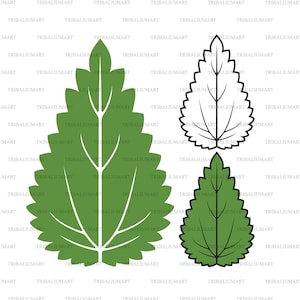 Feuille d’ortie. Couper des fichiers pour Cricut. Silhouette Clip Art (eps, svg, pdf, png, dxf, jpeg).