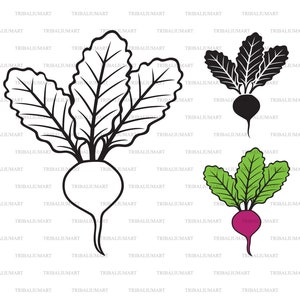 Légumes de betterave. Couper les fichiers pour Cricut. Clip Art (eps, svg, pdf, png, dxf, jpeg).