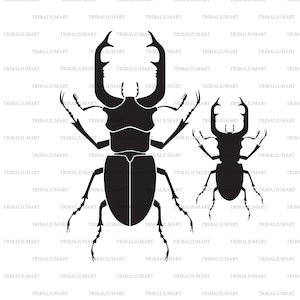 May include: Black and white silhouette of two stag beetles. The larger beetle is on the left and the smaller beetle is on the right. Both beetles have large mandibles and long antennae.
