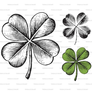 Trifover à quatre feuilles - illustration gravée de cru dans le modèle dessiné à la main. Coupez les fichiers pour Cricut. Clip Art (eps, svg, pdf, png, dxf, jpeg).