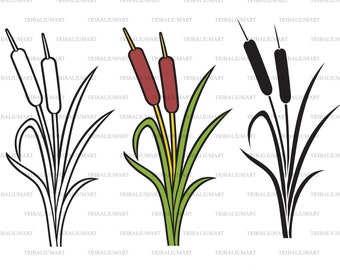 Reeds design - illustration of bulrush. Cut files for Cricut. Clip Art silhouettes (eps, svg, pdf, png, dxf, jpeg).