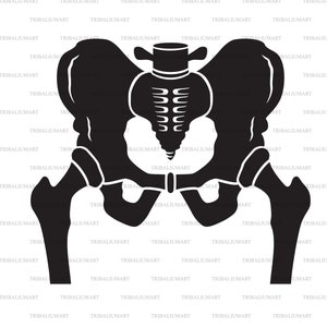 Hip Bone Cut-Dateien für Cricut (eps, svg, pdf, png, dxf, jpg).