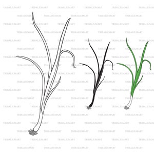 Green or spring onion (Scallions). Cut files for Cricut. Clip Art silhouettes (eps, svg, pdf, png, dxf, jpeg).