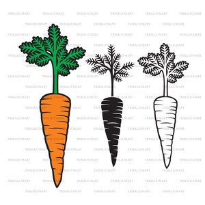 carotte. Couper des fichiers pour Cricut. Clip art silhouette (EPS, SVG, PDF, png, DXF, JPEG).
