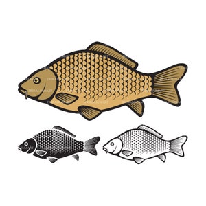 Karpfenfisch-Ikonen. Dateien für Cricut schneiden. Clip Art (eps, svg, pdf, png, dxf, jpeg).