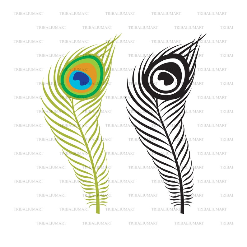 Download Cut Files For Cricut Peacock Feather Eps Svg Pdf Png Dxf Jpeg Clip Art Silhouette Clip Art Art Collectibles Shantived Com