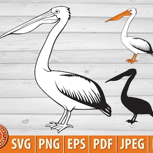 Pellicano. Taglia file per Cricut. Silhouette ClipArt (eps, svg, pdf, png, dxf, jpeg).