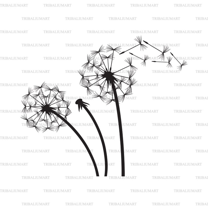 Download Cut files for Cricut Dandelion . eps, svg, pdf, png, dxf ...