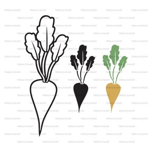 Barbabietola da zucchero. Tagliare i file per Cricut. ClipArt (eps, svg, pdf, png, dxf, jpeg).
