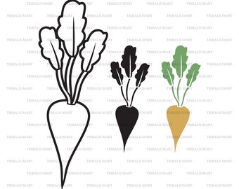 Remolacha. Cortar archivos para Cricut. Clip Art (eps, svg, pdf, png, dxf, jpeg).