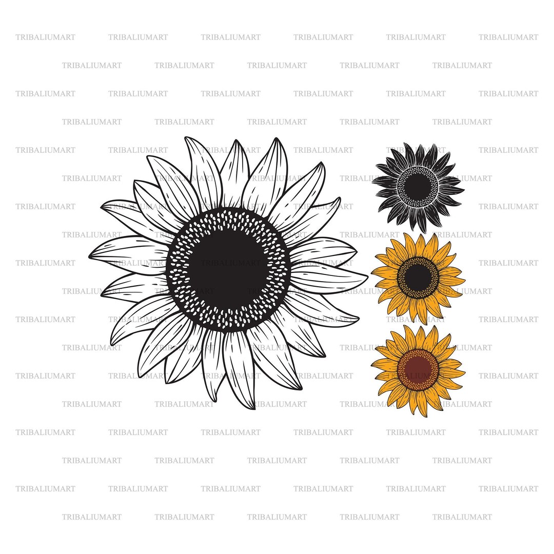 Sunflower. Cut Files for Cricut. Clip Art Silhouette eps, Svg, Pdf, Png