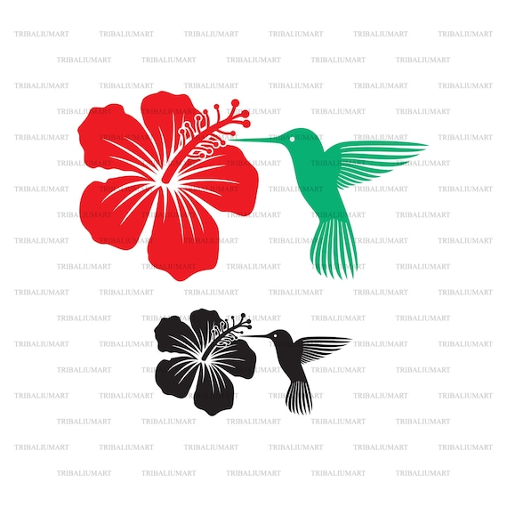 Colibrì (colibri) e fiore di Taglia i file per Cricut