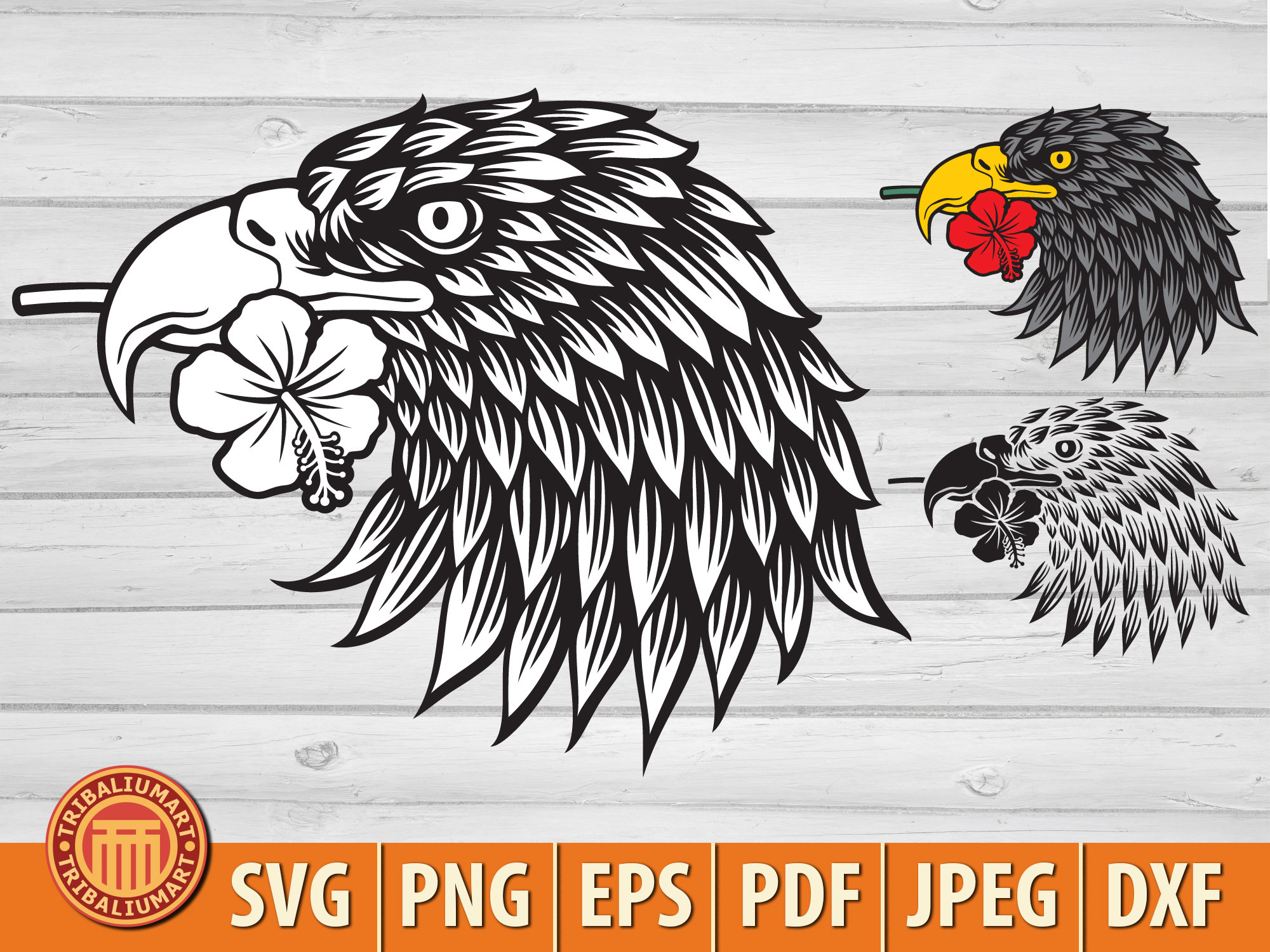 Cabeza de águila con flor de hibisco en el pico. Cortar archivos para  Cricut. Silueta Clip Art (eps, svg, pdf, png, dxf, jpeg). - Etsy México, image size:2000x1500