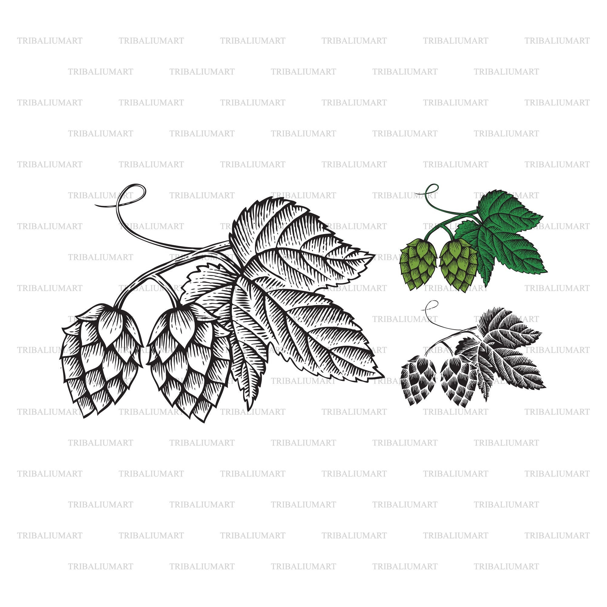 Download Hops Beer Design Cut Files For Cricut Clip Art Silhouette Eps Svg Pdf Png Dxf Jpeg