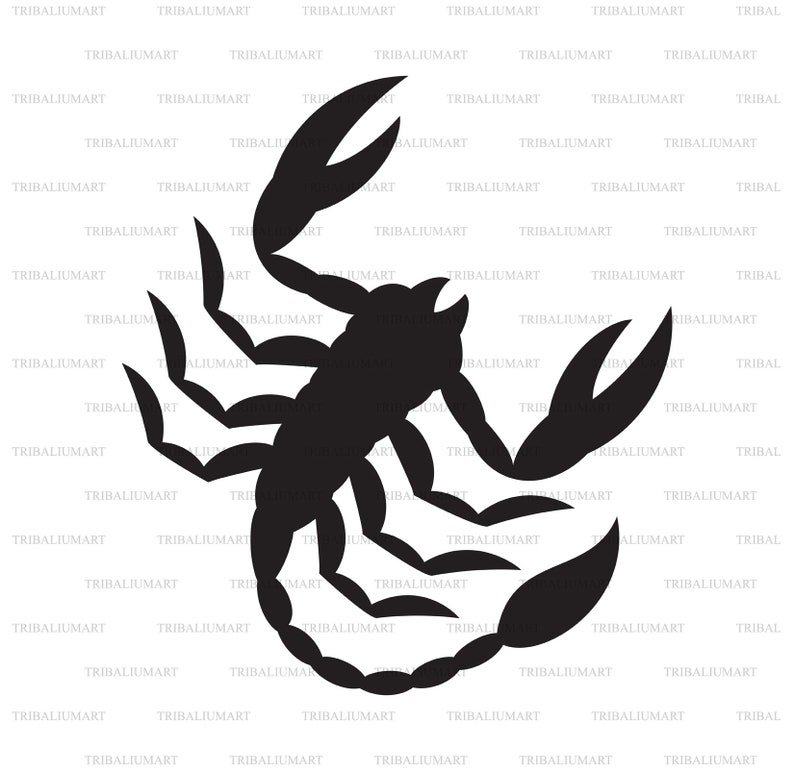 Clip Art silhouette eps, svg, pdf, png, dxf, jpeg . Cut files for Cricut Scorpion