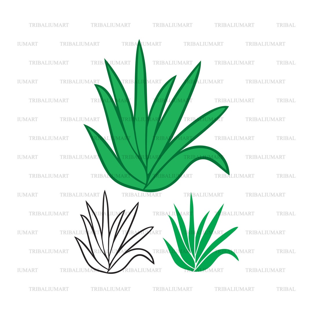 Aloe Plant. Cut Files for Cricut. Clip Art Silhouettes (eps, Svg, Pdf, Png,  Dxf, Jpeg). - Etsy