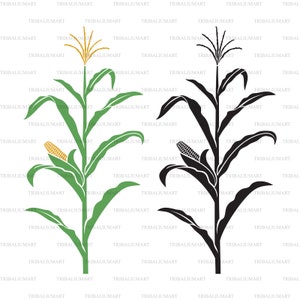 Gambo di mais. Taglia i file per Cricut. Sagome di clip art (EPS, SVG, PDF, PNG, DXF, jpeg).