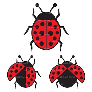 Icone coccinella o scarabeo. Taglia i file per Cricut (EPS, SVG, PDF, PNG, DXF, jpeg).